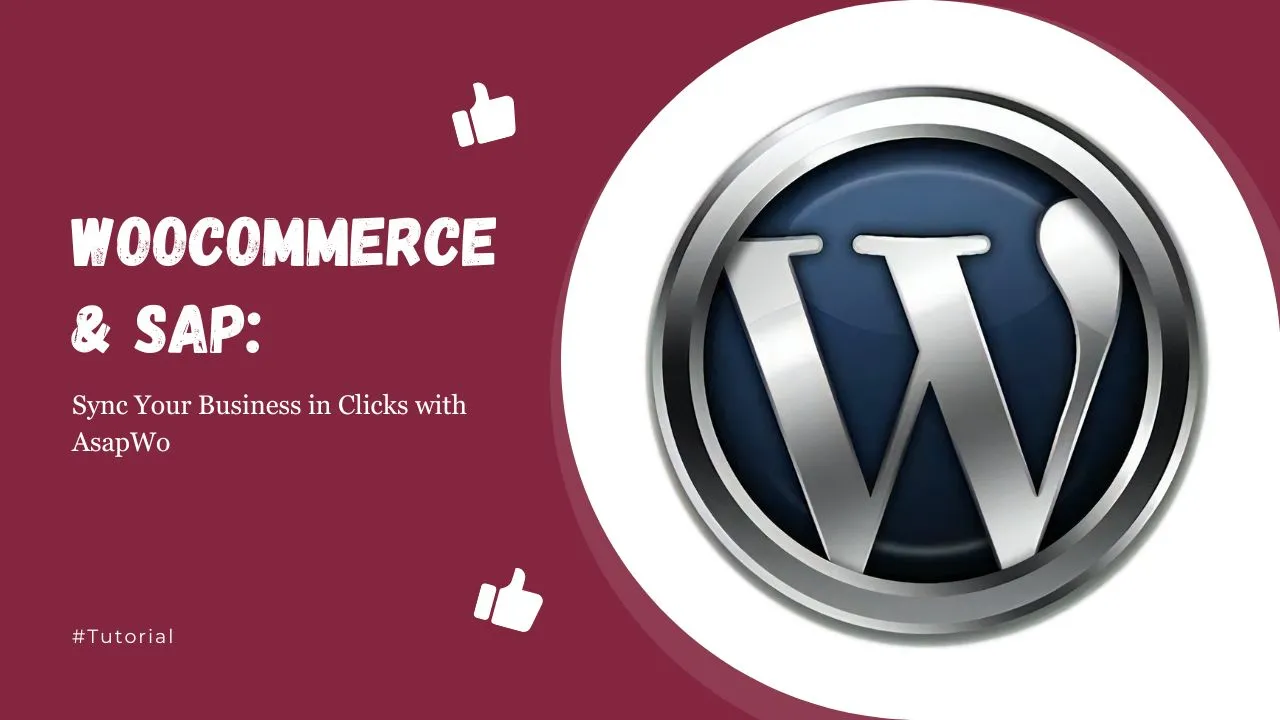 WooCommerce SAP Sync Your Business In Clicks With AsapWo