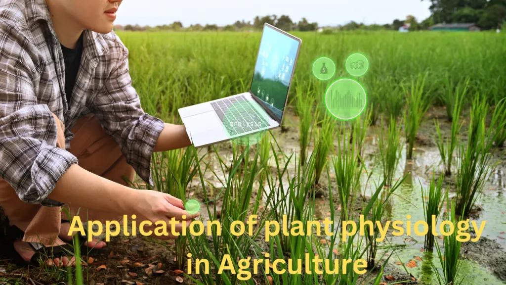 Application Of Plant Physiology In Agriculture