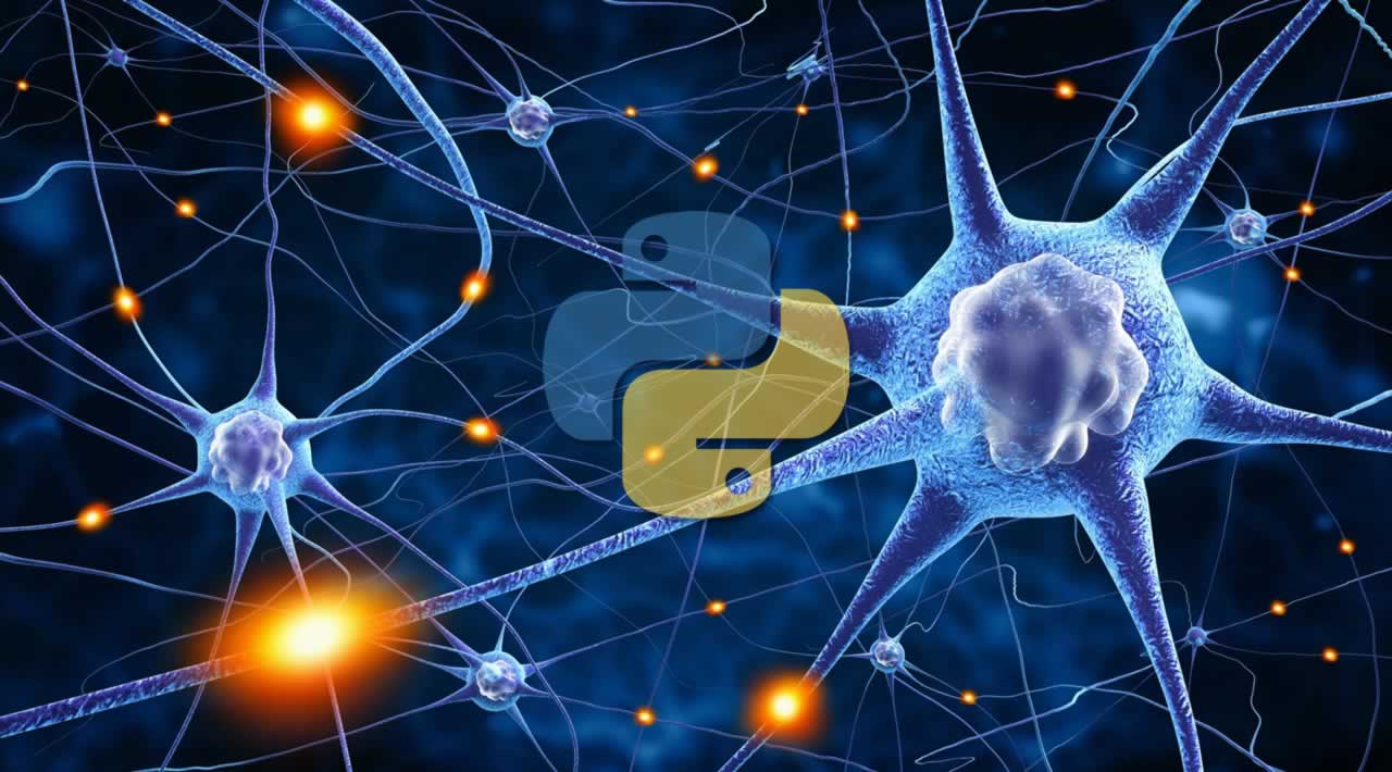 How to build a Neural Network from scratch in Python