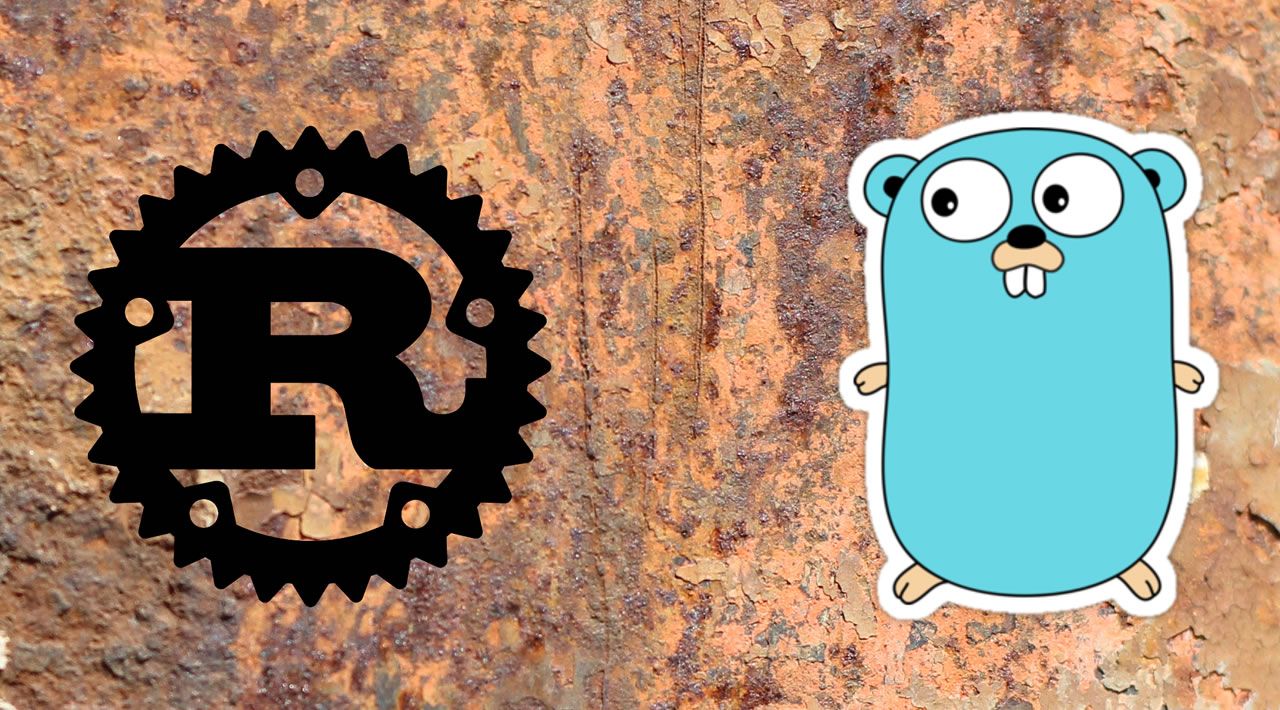 Rust vs golang фото 25