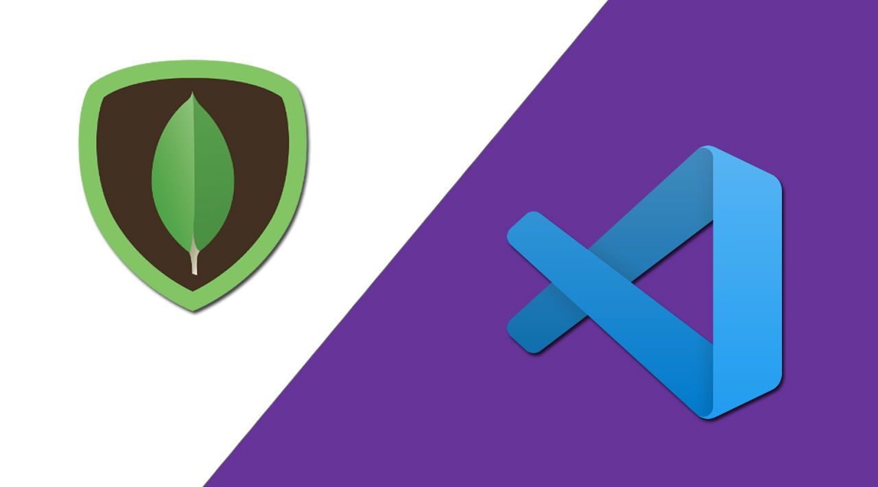 introducing-mongodb-for-vs-code