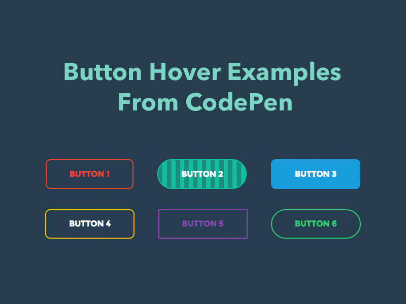 CSS Tutorial | 25 CSS Button Hover Effects