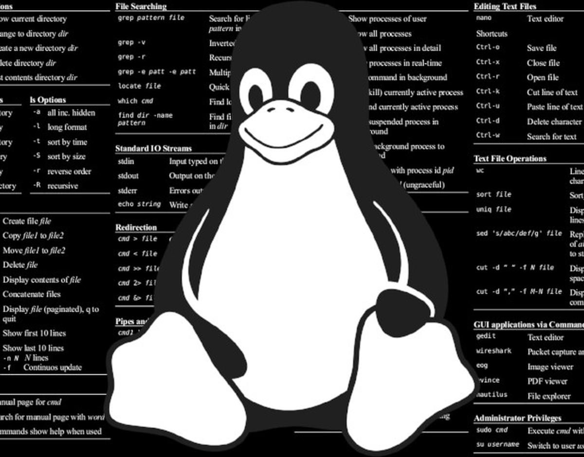 Last Command In Linux