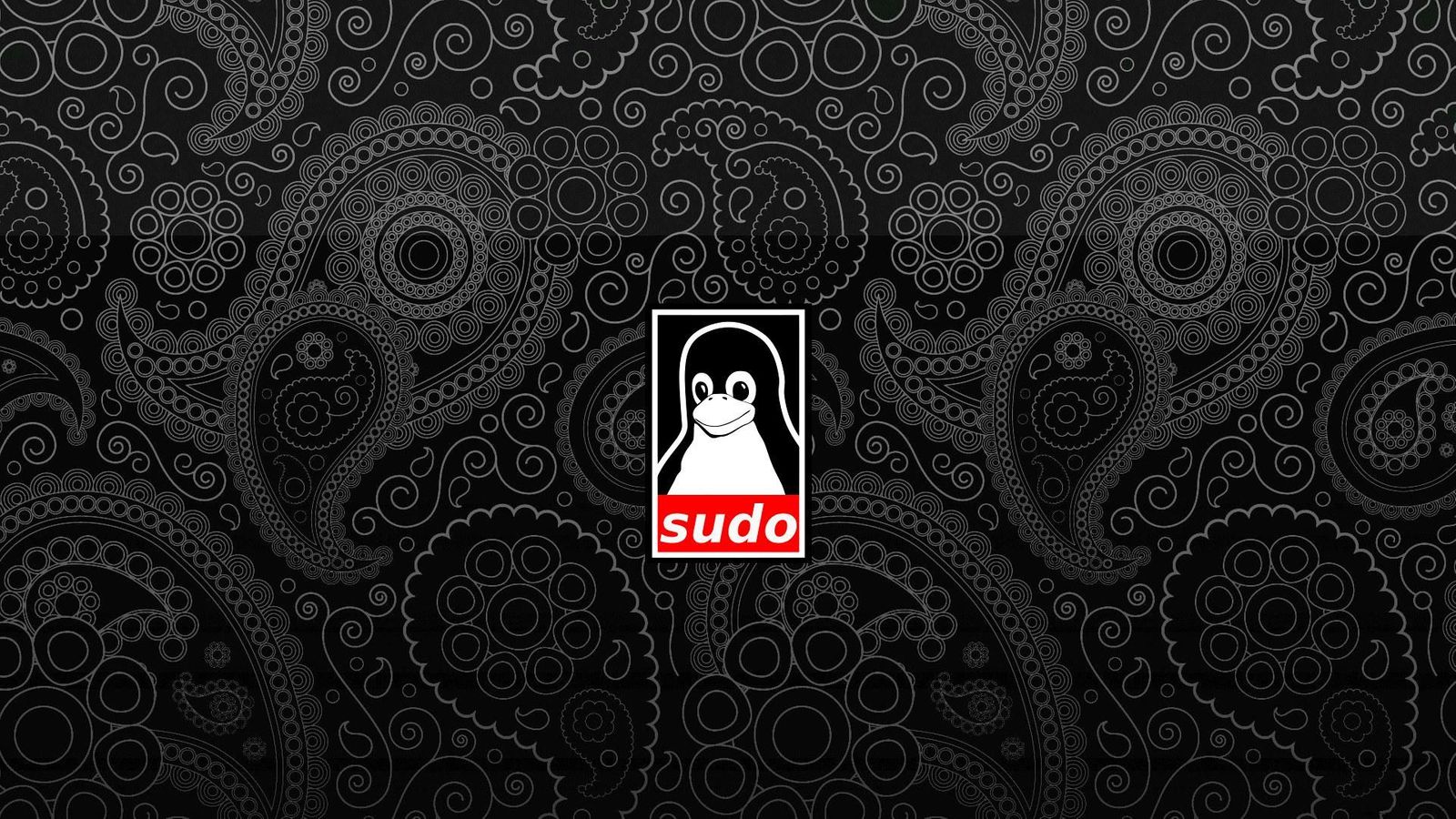 How to Set Up and Manage Sudo Permissions 