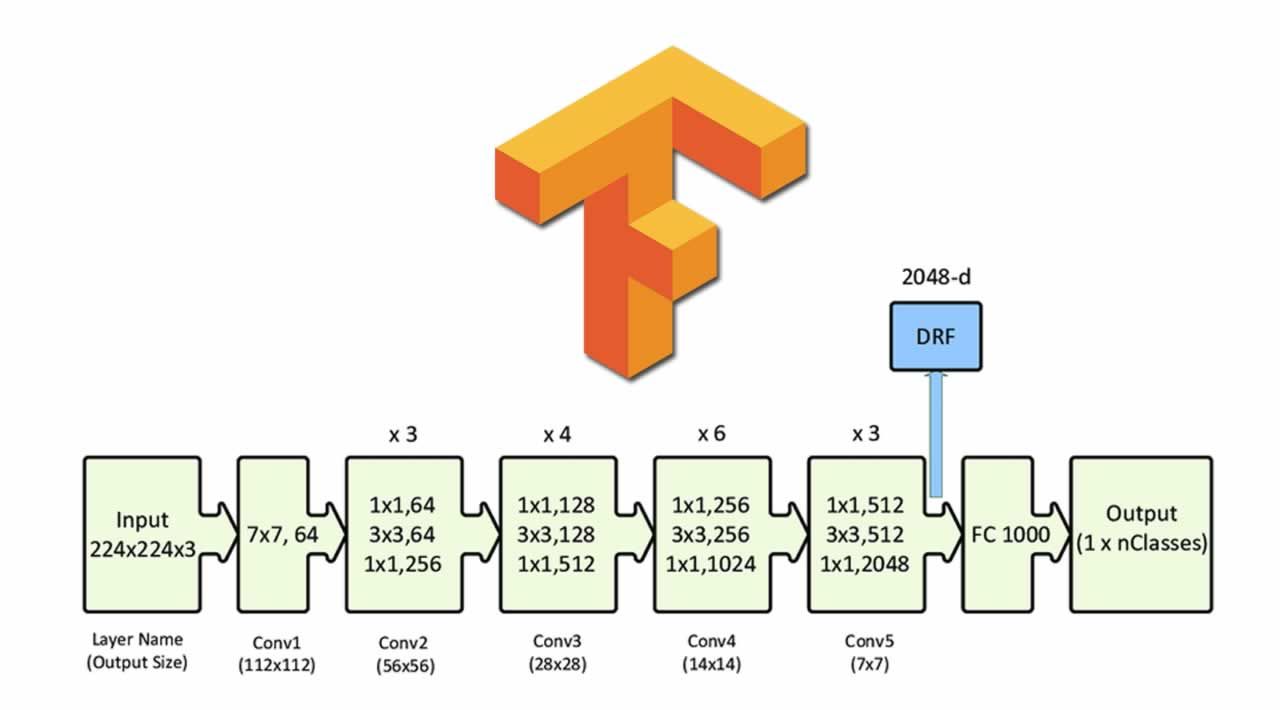 Understand and Implement ResNet-50 with TensorFlow 2.0