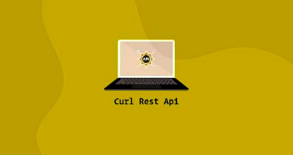 Using Curl to Make REST API requests