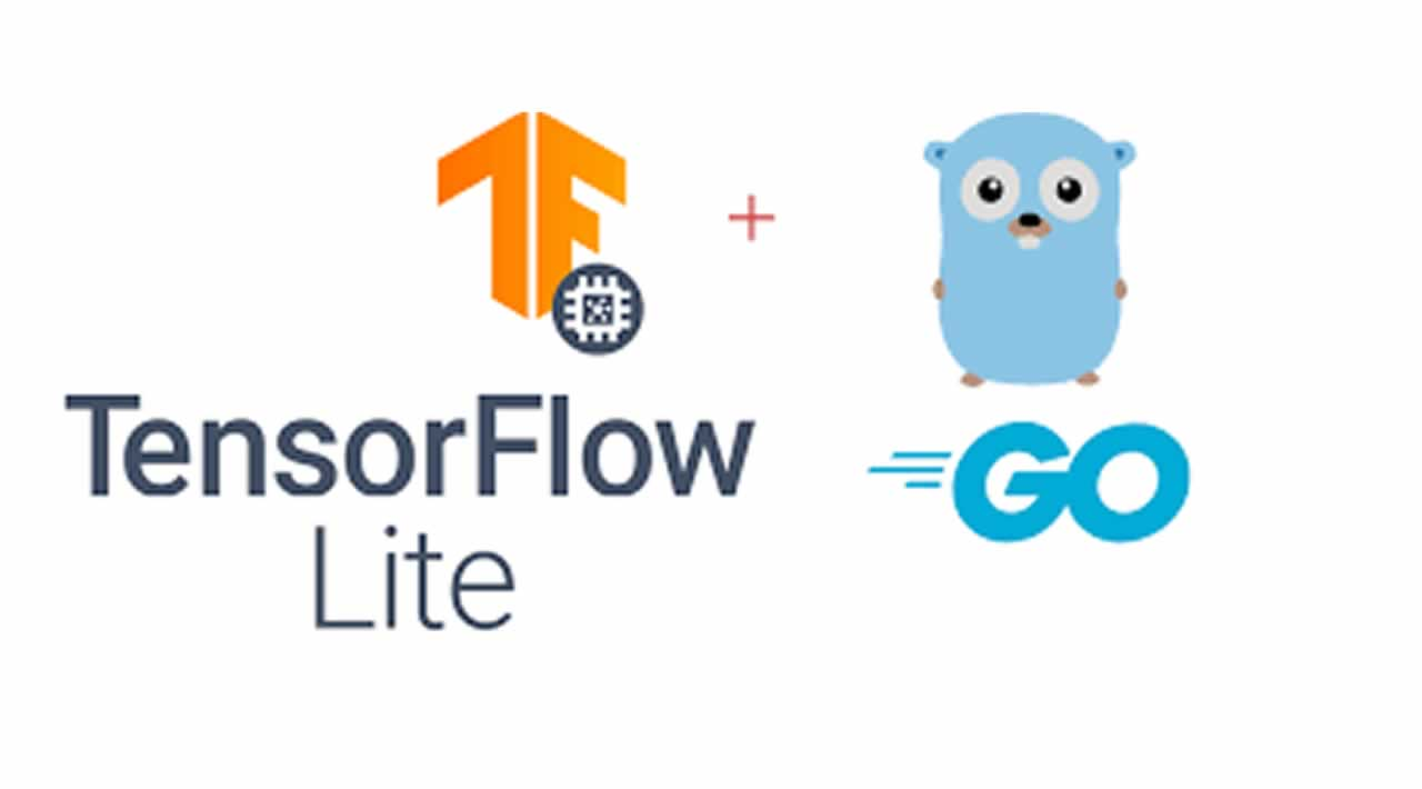 Tensorflow Lite (TFLite) with Golang (Go)