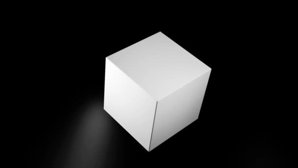 What Is White-Box Cryptography?