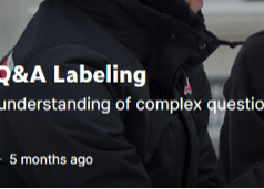 Q&A Labelling using BERT