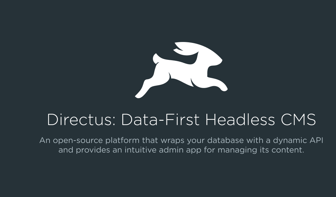 Introduction to API-First CMS with Directus' Open Source, Headless CMS