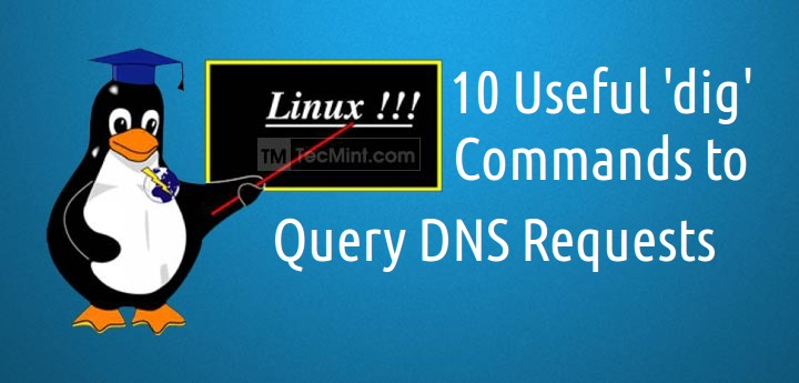 Dig Command in Linux (DNS Lookup)