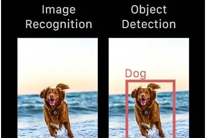Working with SnapML Templates: Object Detection