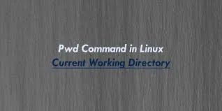 Pwd Command in Linux (Current Working Directory)