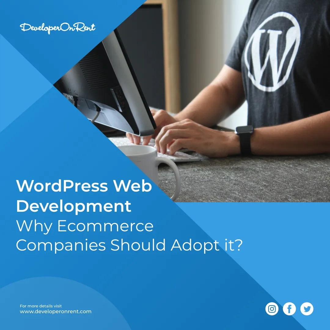 Hire Wordpress Developer India : Dedicated Plugin, Theme Programmer – DeveloperOnRent