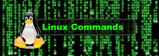 Linux commands: pwd 