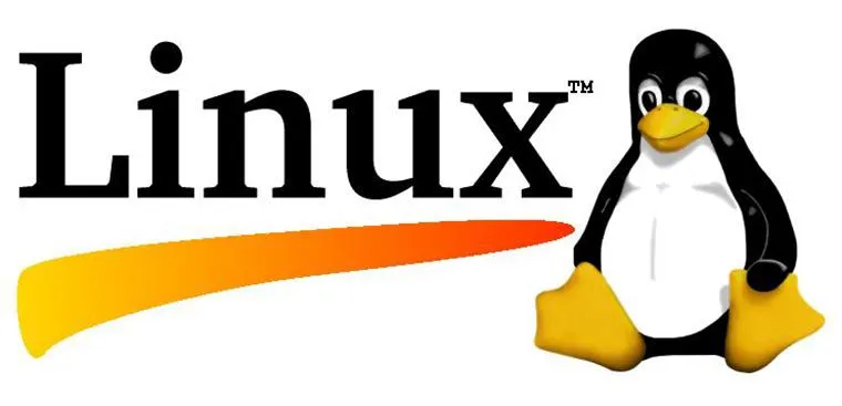 How to hide Nginx version on Linux and Unix
