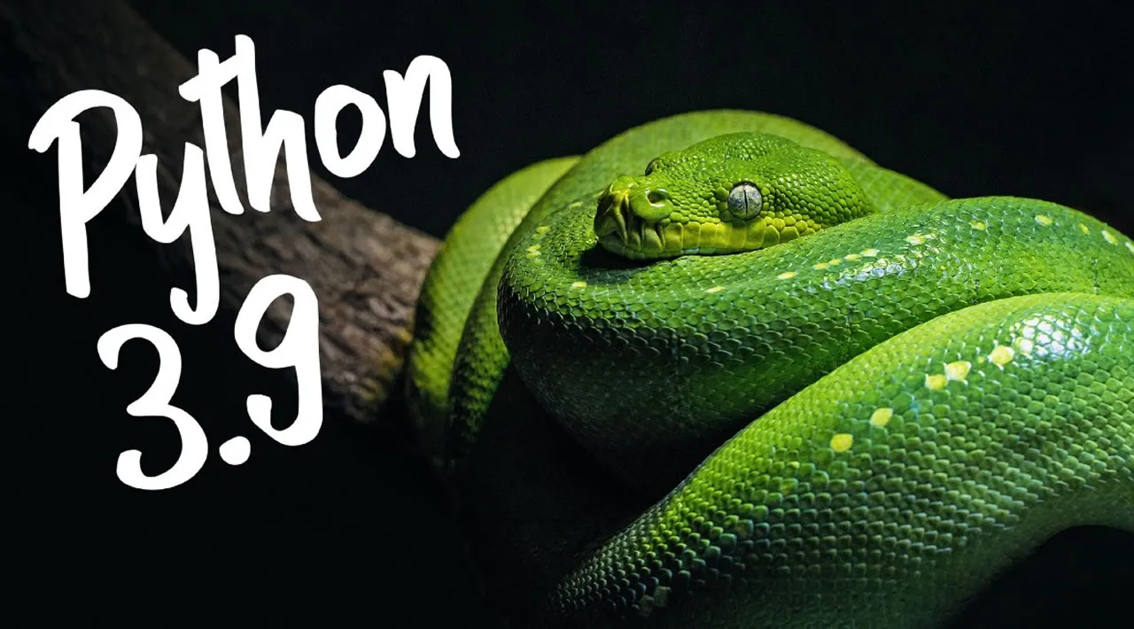 Much python. Python. Ноггано 3 питон.