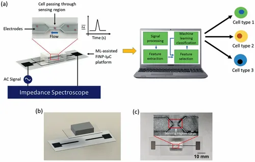 ML-Assisted Biochip Used for Real-Time Single Cancer Cell Analysis 
