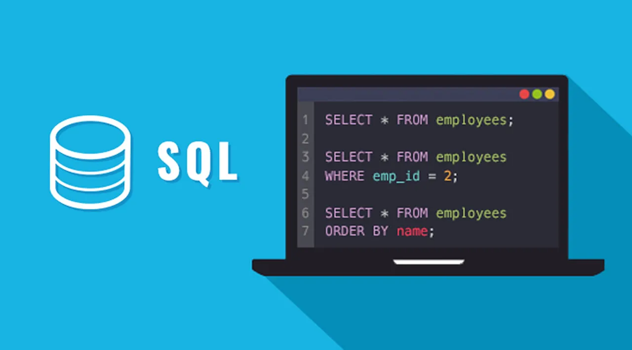 A Beginner’s Guide to the SQL Language