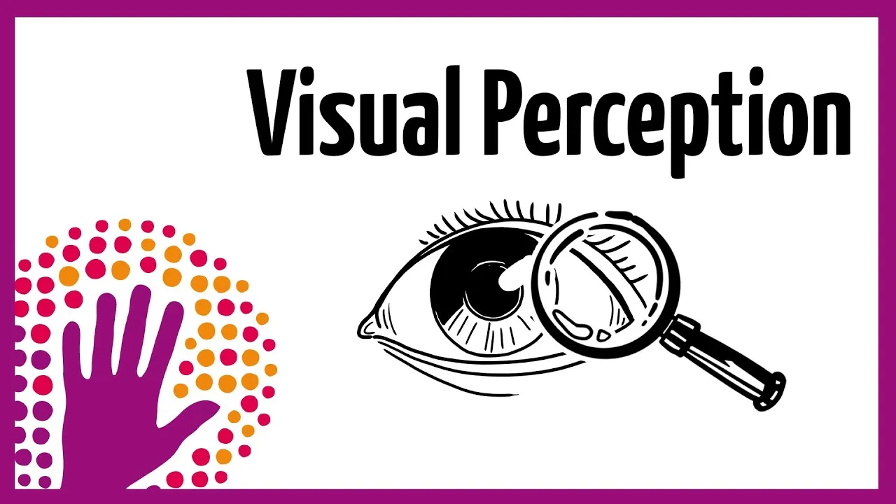 Visual Perception        