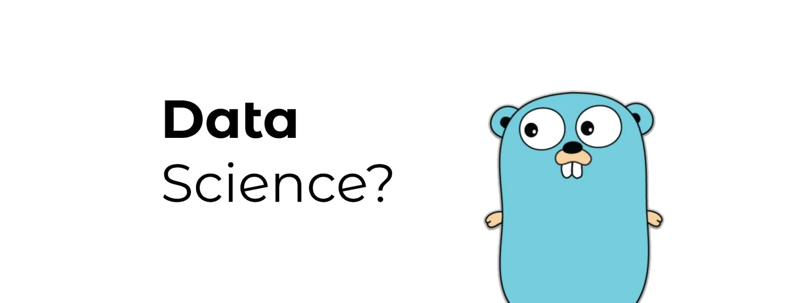 What is Go Like For Data Science?