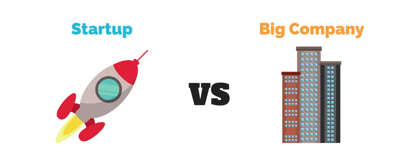Startup vs Big Company: Which is better?