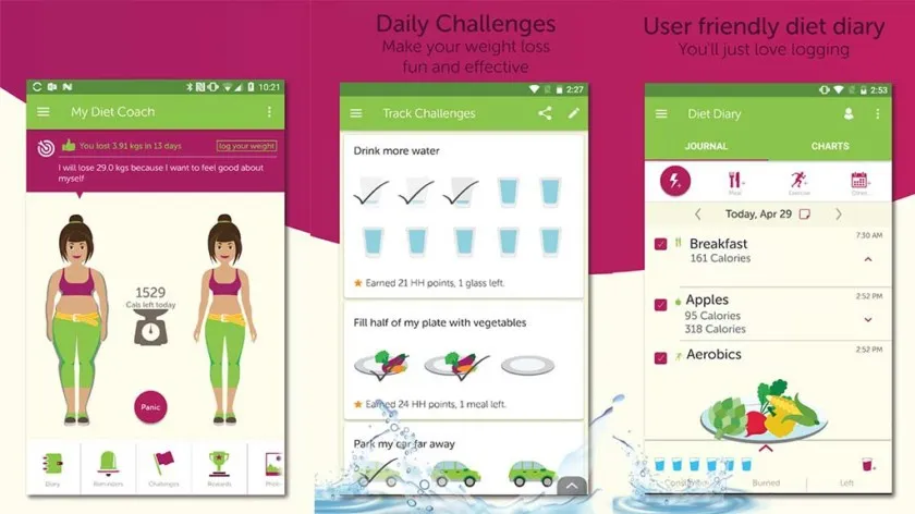 How much does it cost to make a mobile application like diet and nutrition App?