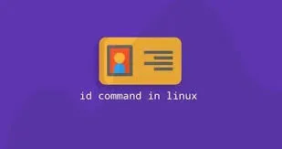 Rmmod Command in Linux