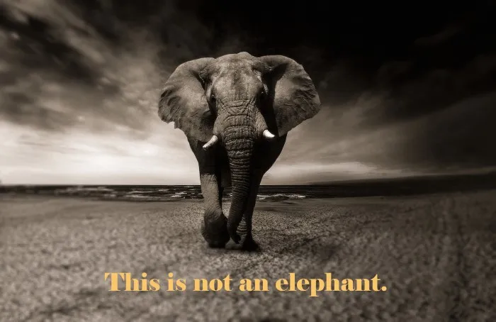 AI Understanding: What is an Elephant?