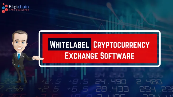 Why Should I Choose a White Label Solution to Launch a Cryptocurrency Exchange Platform?