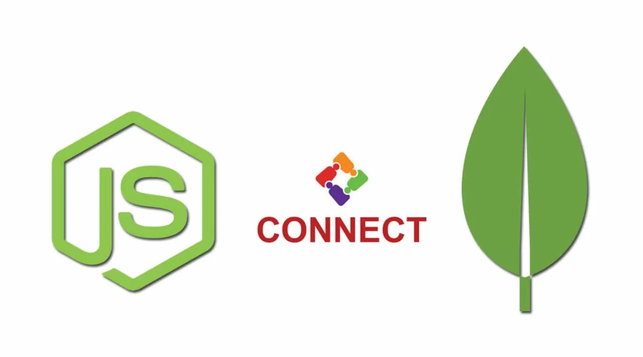 How to Connect Node.js with MongoDB