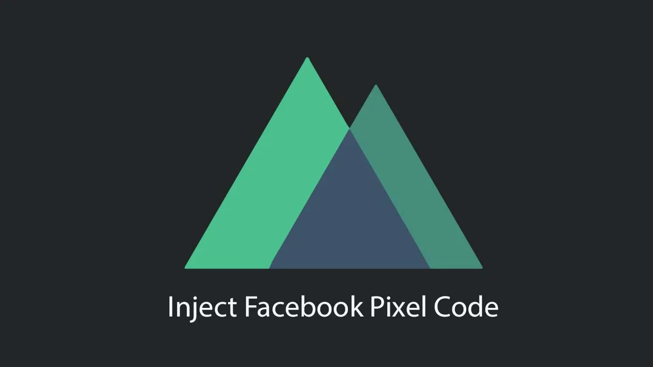 A NuxtJS Module Thats Injects Facebook Pixel Code