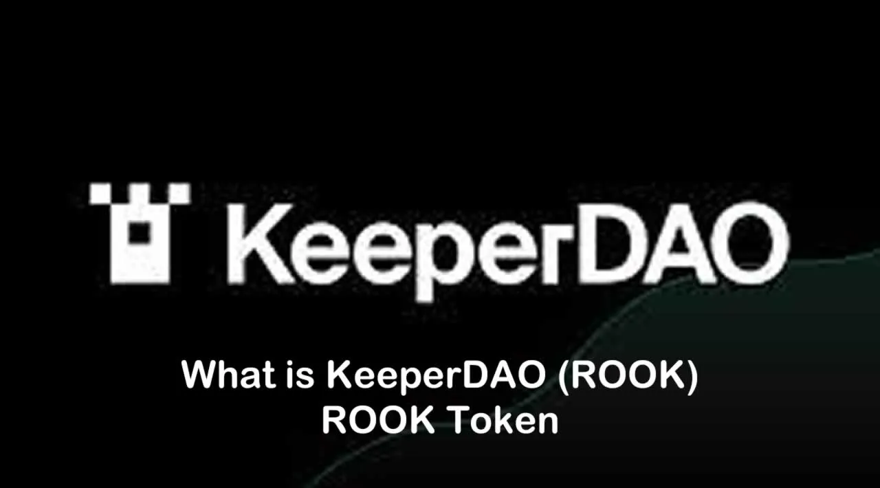 What is KeeperDAO (ROOK) | What is ROOK token 