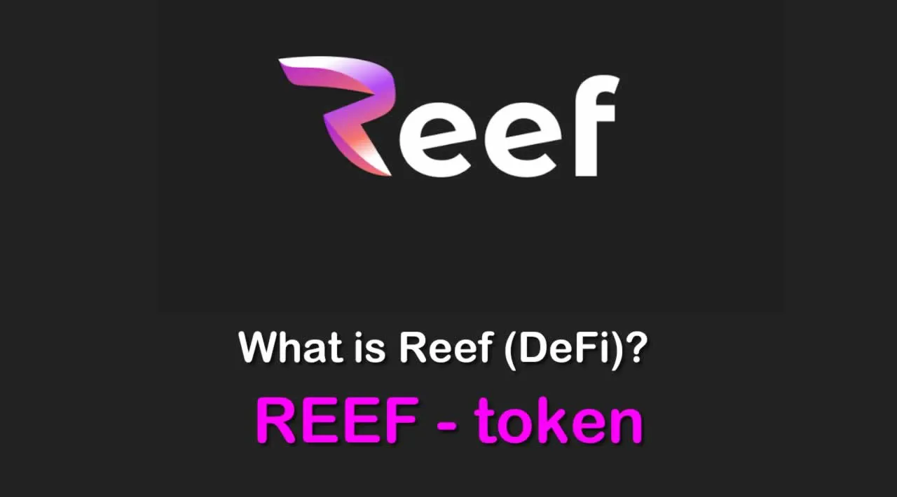 What is Reef DeFi (REEF) | What is Reef DeFi token | What is REEF token