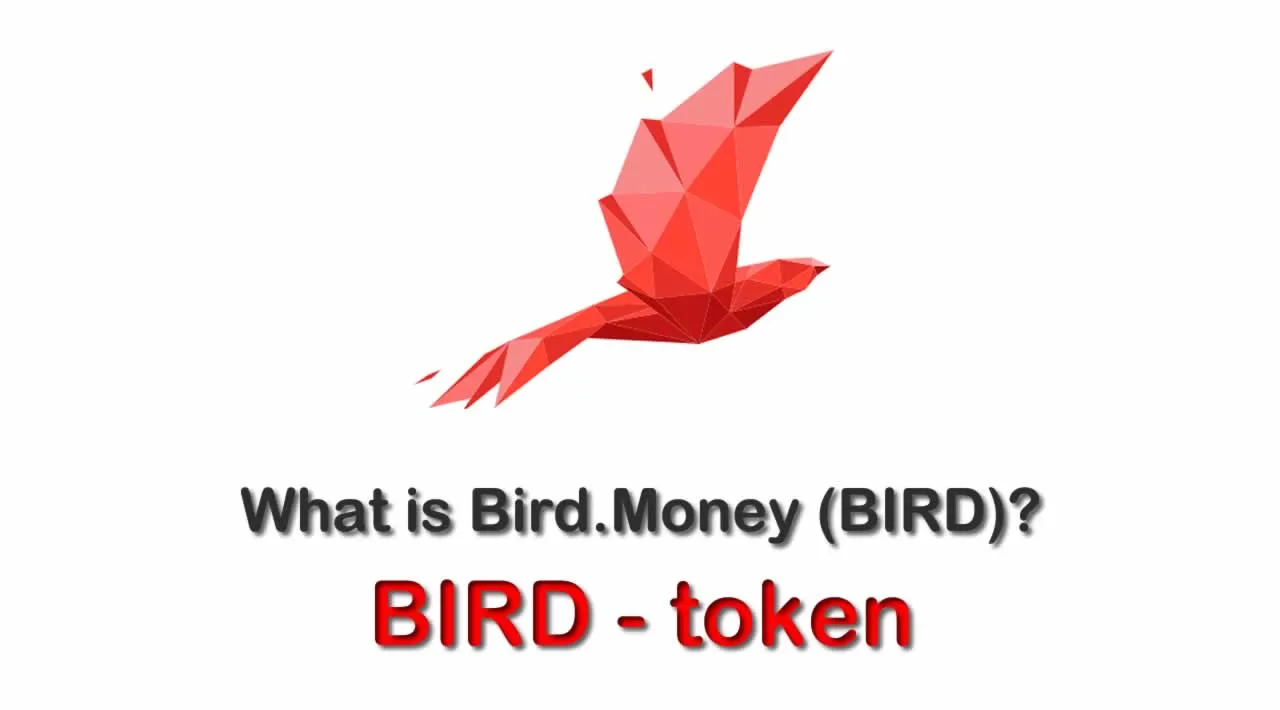 What is Bird.Money (BIRD) | What is BIRD token