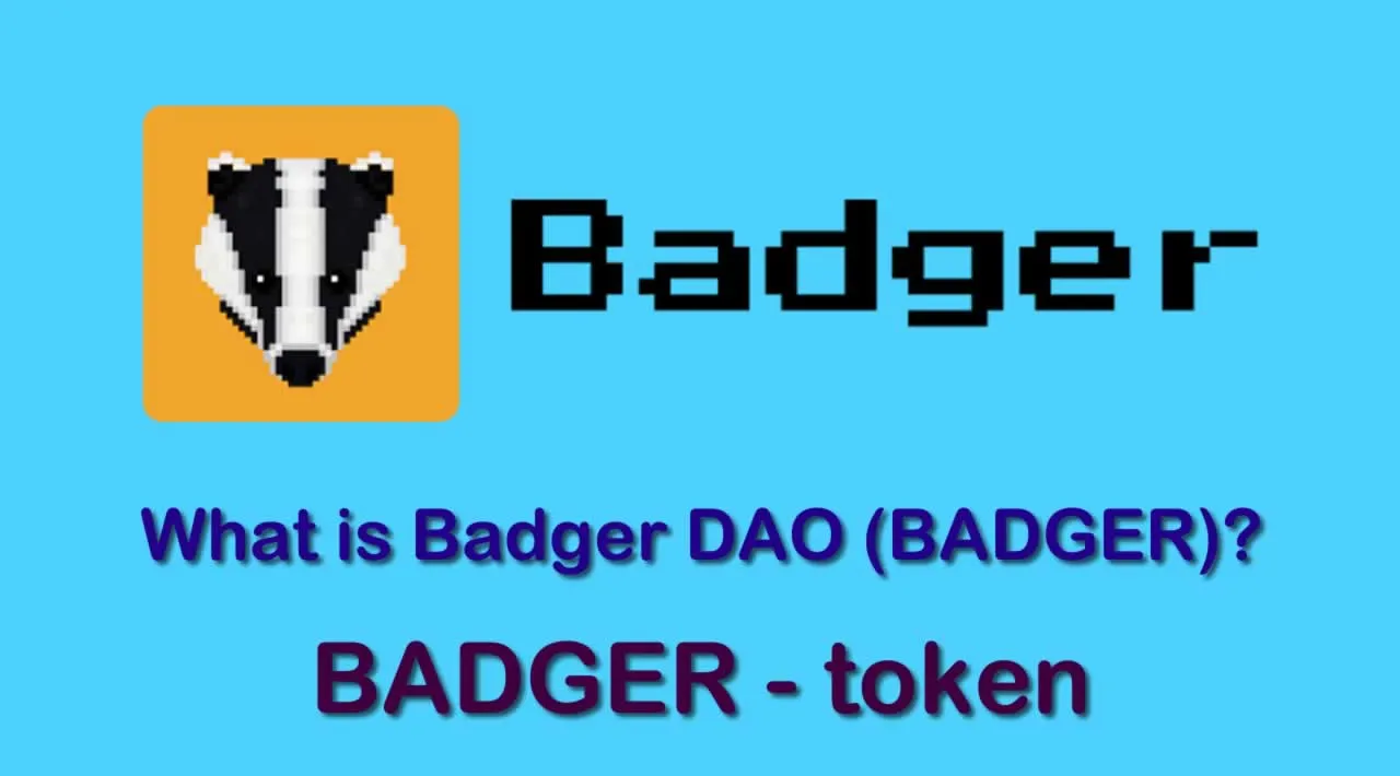 What is Badger DAO (BADGER) | What is Badger DAO token | What is BADGER token