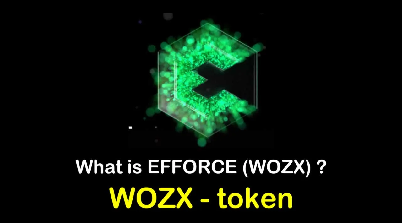 What is EFFORCE (WOZX) | What is WOZX token 