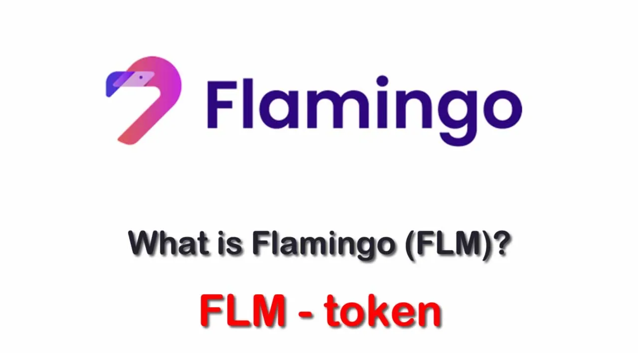 What is Flamingo (FLM) | What is Flamingo token | What is FLM token 