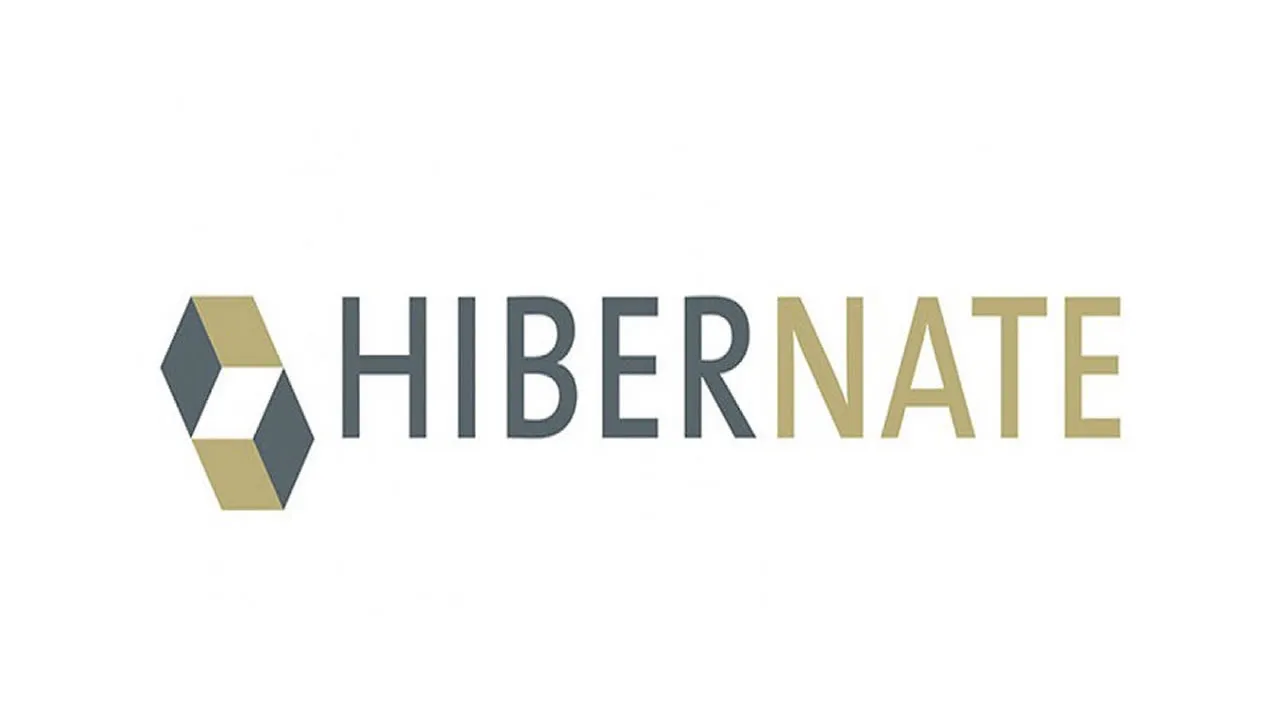A Guide to MultipleBagFetchException in Hibernate
