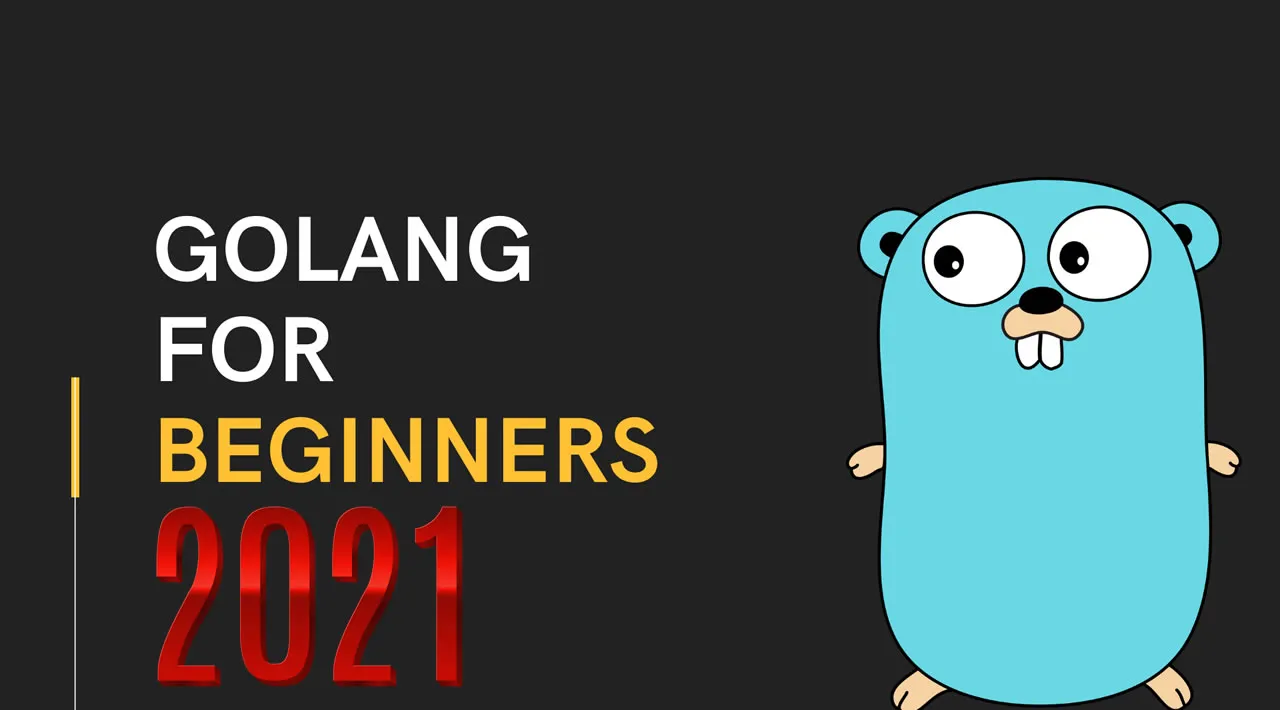 The Ultimate Go Guide for Beginners in 2021