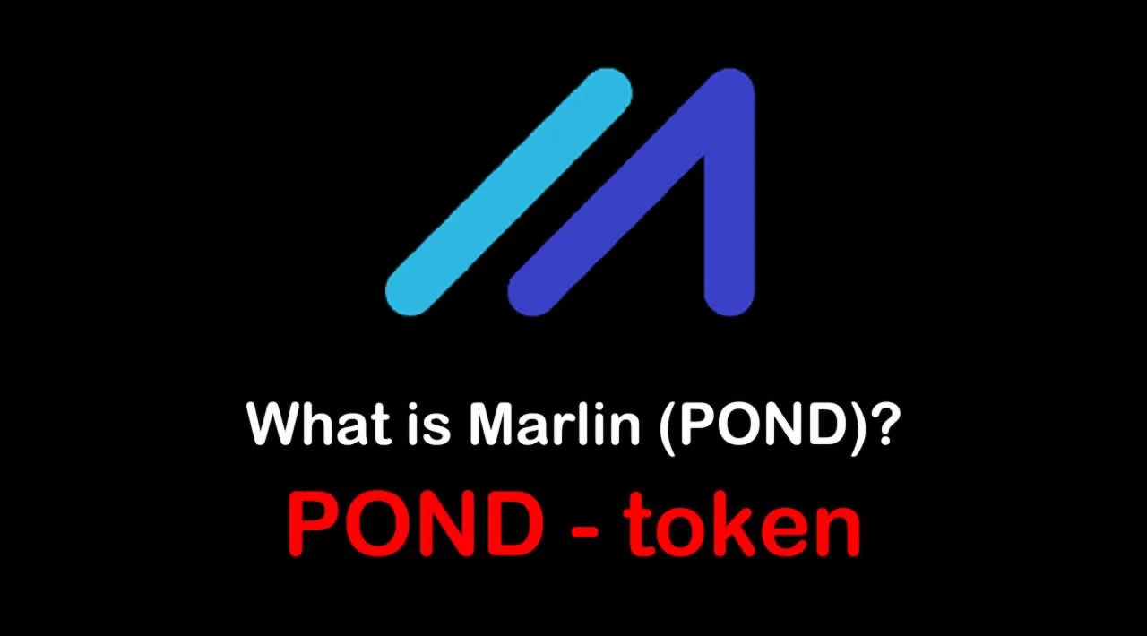 What is Marlin Protocol (POND) | What is Marlin Protocol token | What is POND token 