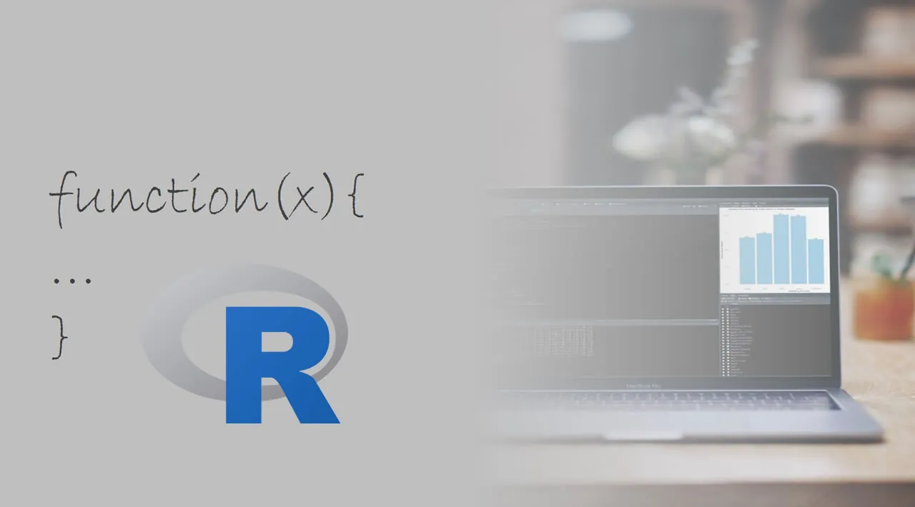 Your First User Defined Function in R