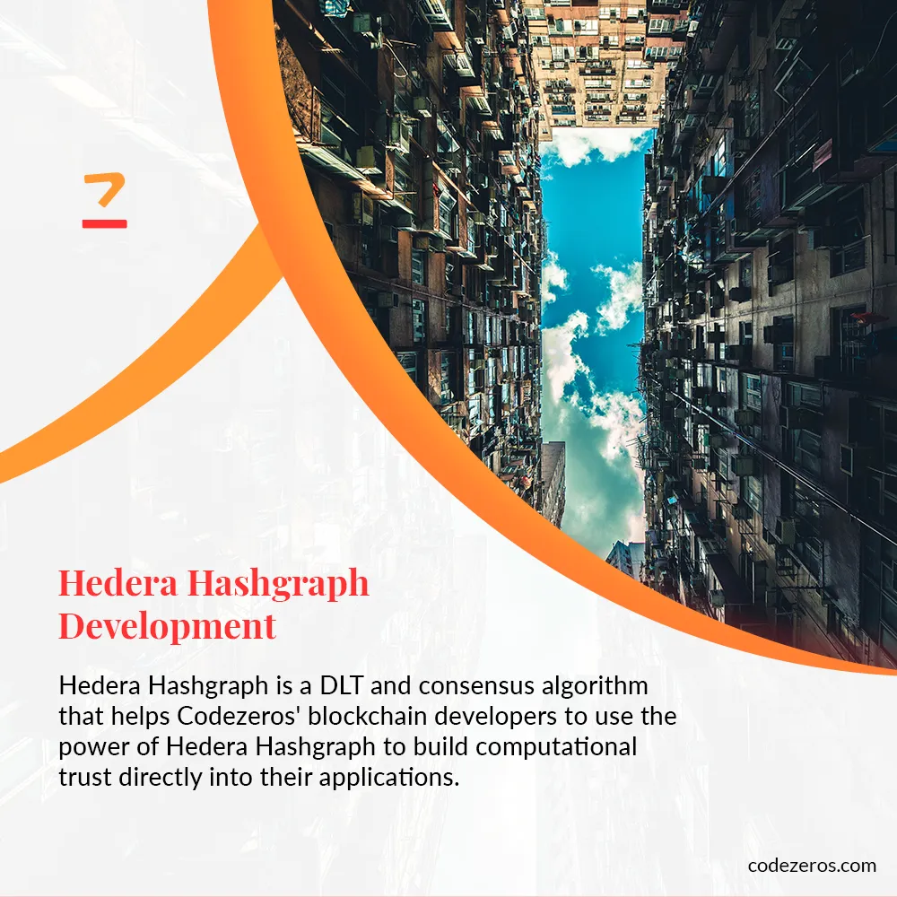 Hedera Hashgraph Development | Hedera Hashgraph Solutions
