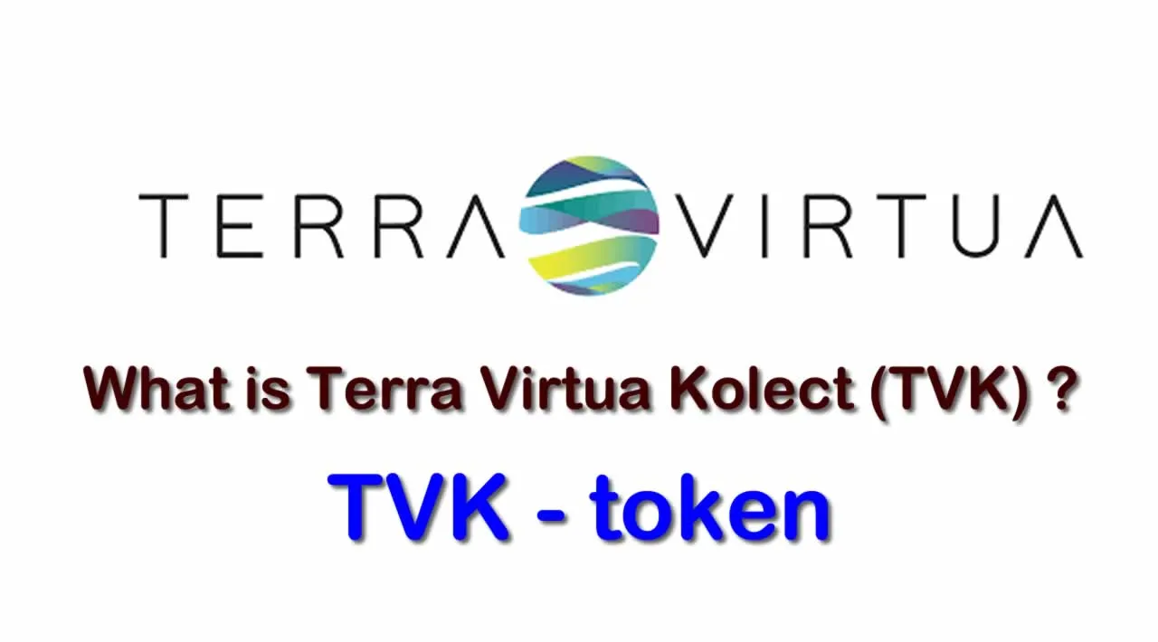 What is Terra Virtua Kolect (TVK) | What is TVK token 