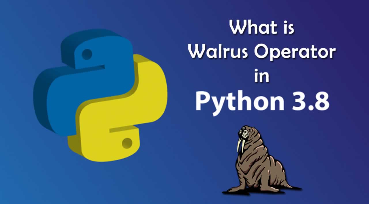 What is Walrus Operator in Python 3.8?