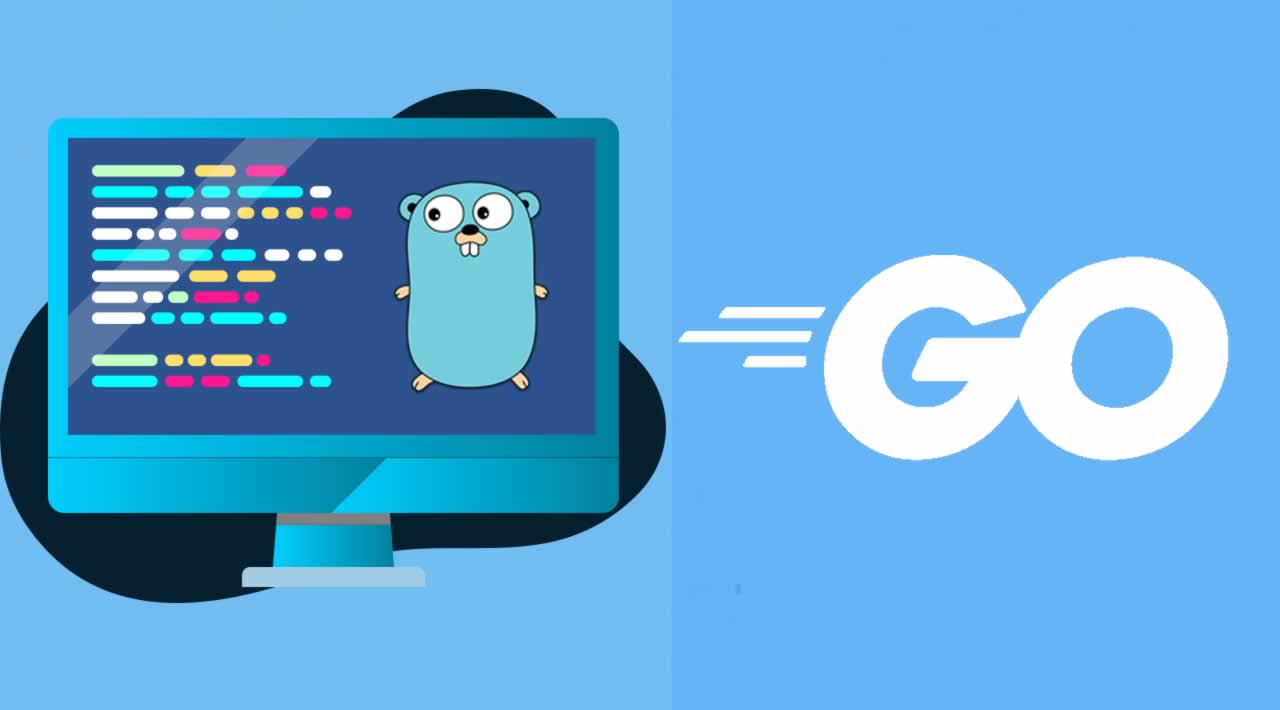 How To Use Command Line Flags In Golang With Example