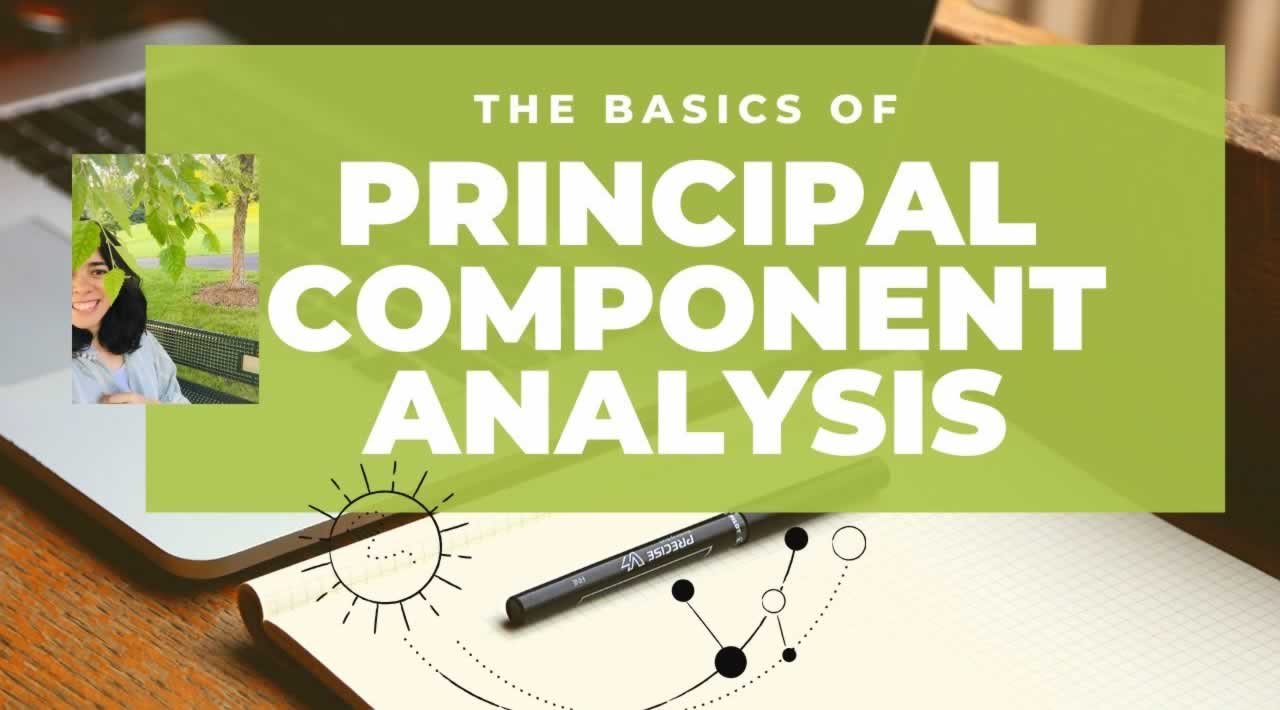 Principal Component Analysis - What You Need To Know In Machine Learning