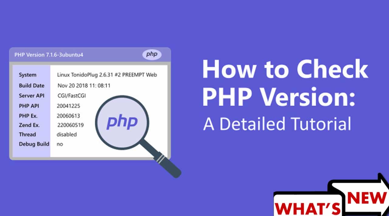 how-to-check-the-php-version