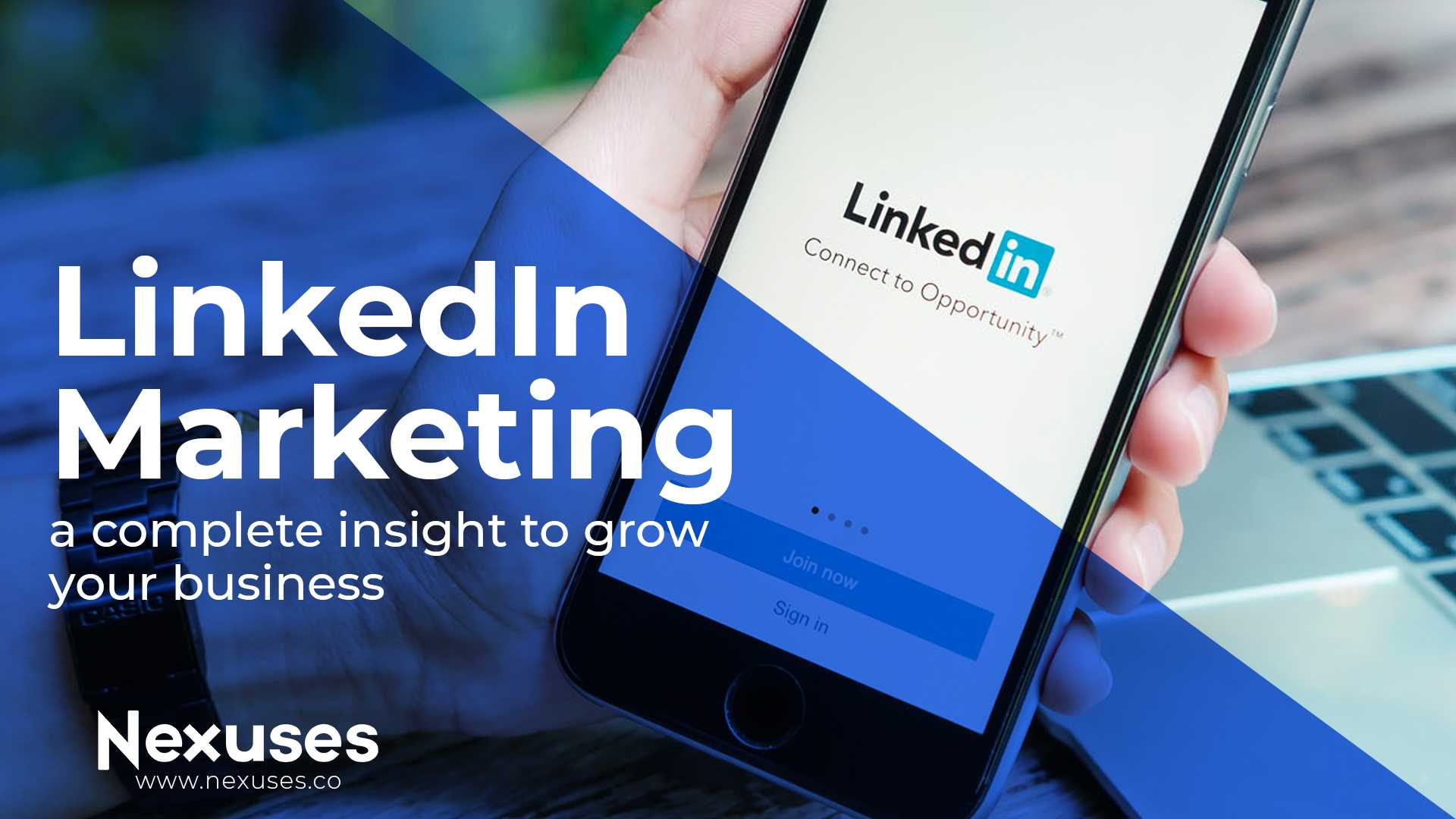 LinkedIn Marketing: A Complete Insight To Grow Your Business