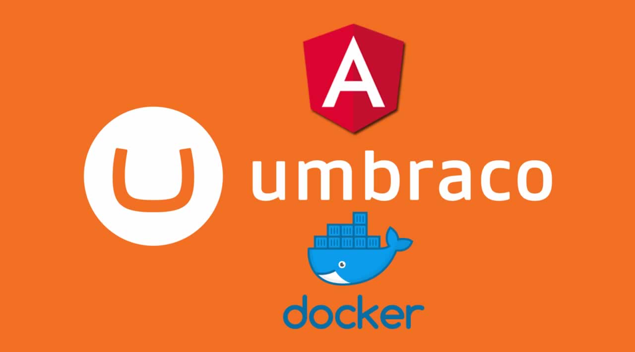 How to Run Umbraco with Angular and Docker